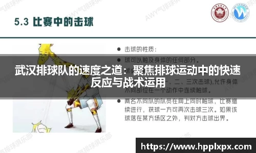 武汉排球队的速度之道：聚焦排球运动中的快速反应与战术运用